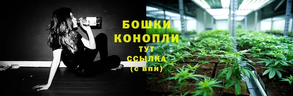 индика Елизово