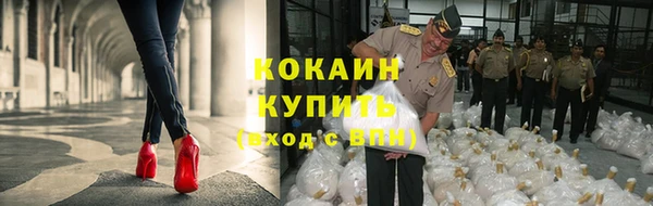 скорость Ельня