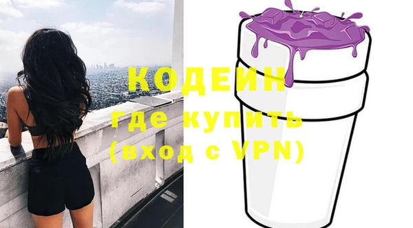 мдпв Елабуга