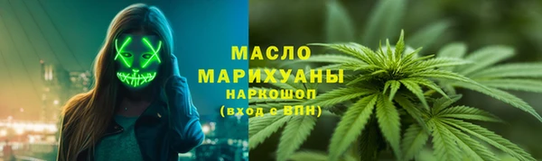 скорость Ельня