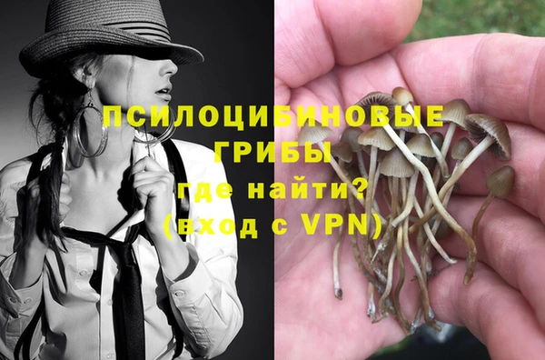 ALPHA PVP Заводоуковск