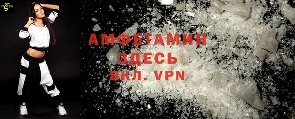 индика Елизово