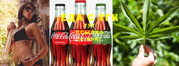 скорость Ельня