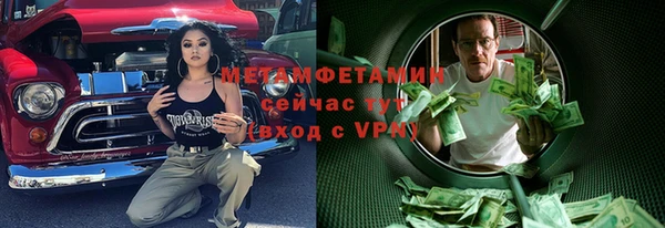 индика Елизово