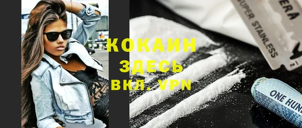 мдпв Елабуга