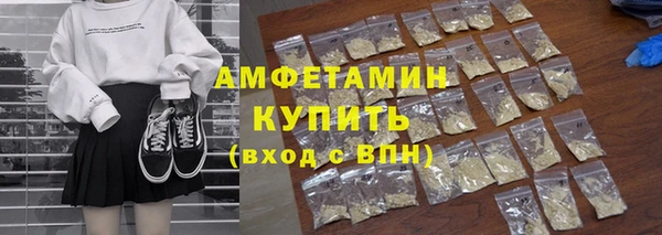 мдпв Елабуга