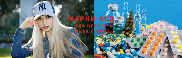 индика Елизово