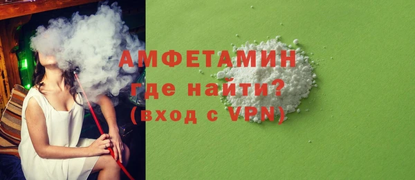 мдпв Елабуга