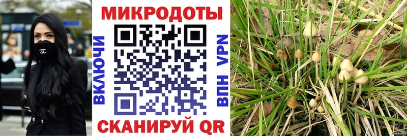 Псилоцибиновые грибы мицелий  Купить где  Каменск-Шахтинский 