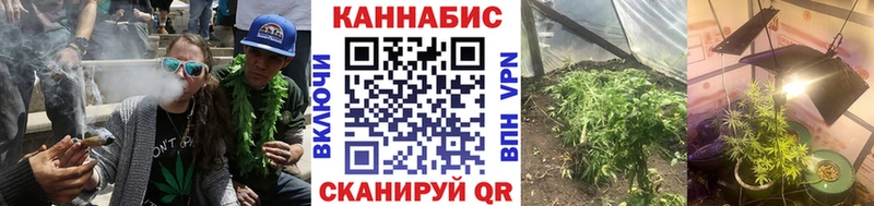 Бошки марихуана индика  Купить  Каменск-Шахтинский 